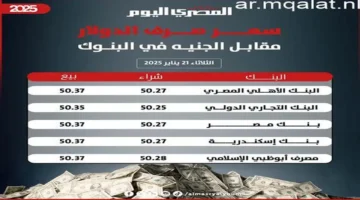 تحديثات الصرف.. تحرك جديد في سعر الدولار مقابل الجنيه داخل البنوك المصرية